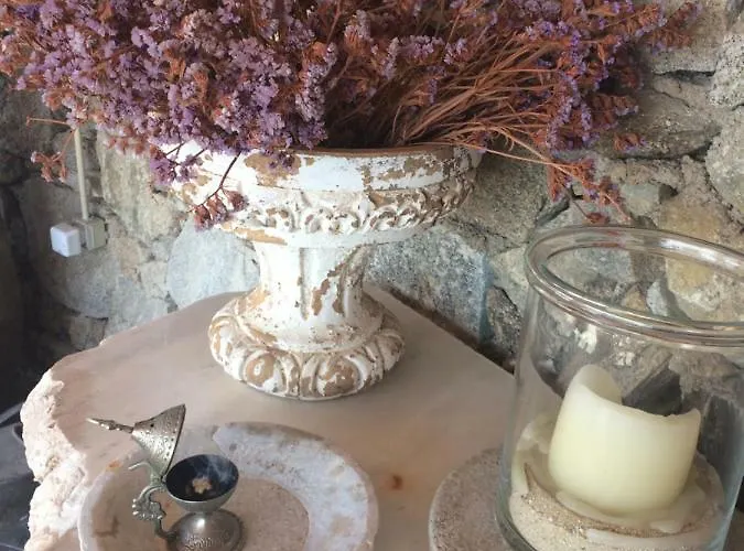 Beachfront Mykonos Appartement *